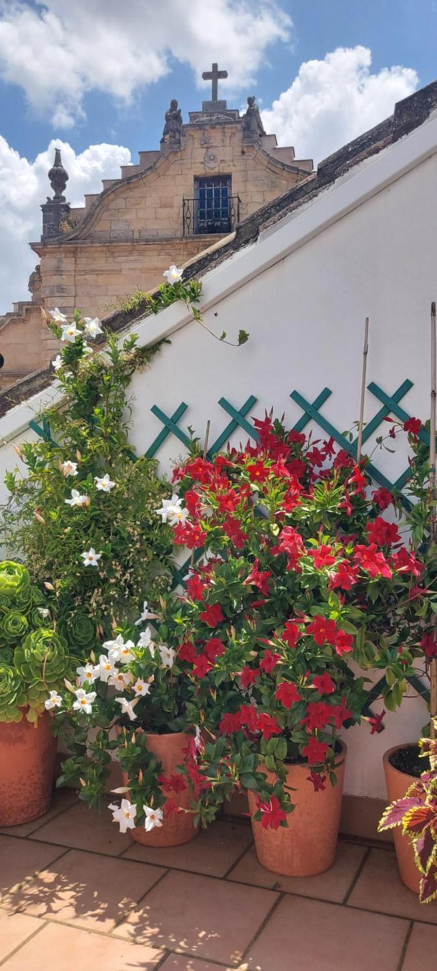 Apartamentos Los Descalzos Angel With Private Terrace Free Parking Ronda Luaran gambar
