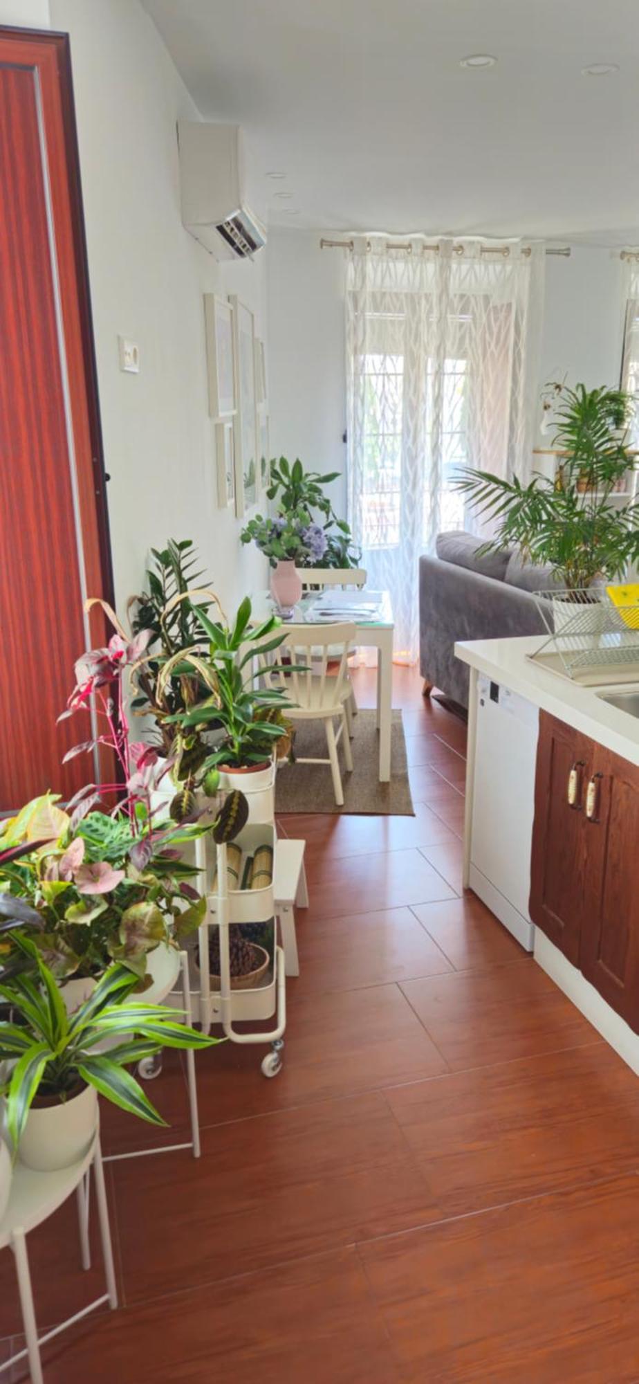 Apartamentos Los Descalzos Angel With Private Terrace Free Parking Ronda Luaran gambar