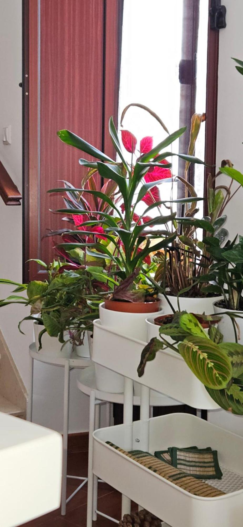 Apartamentos Los Descalzos Angel With Private Terrace Free Parking Ronda Luaran gambar