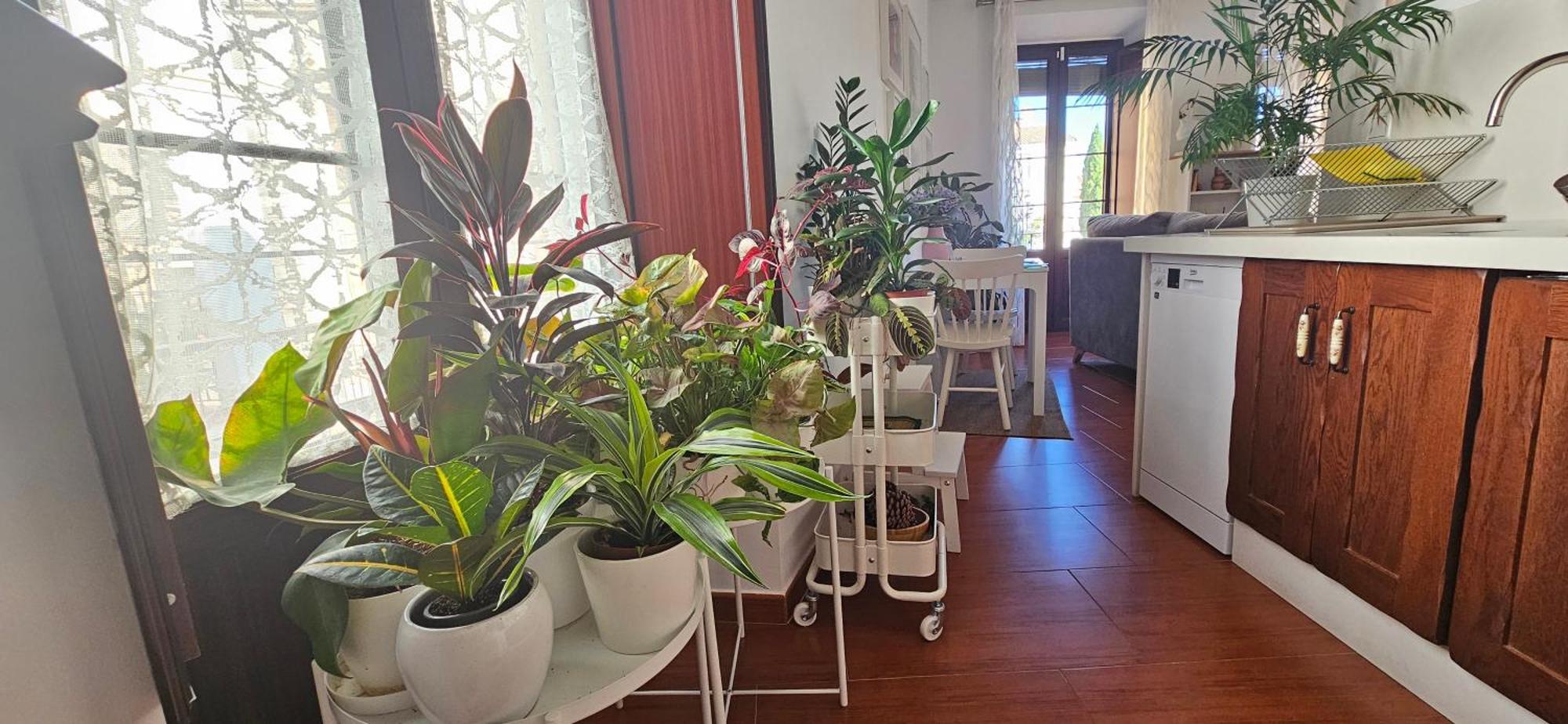 Apartamentos Los Descalzos Angel With Private Terrace Free Parking Ronda Luaran gambar