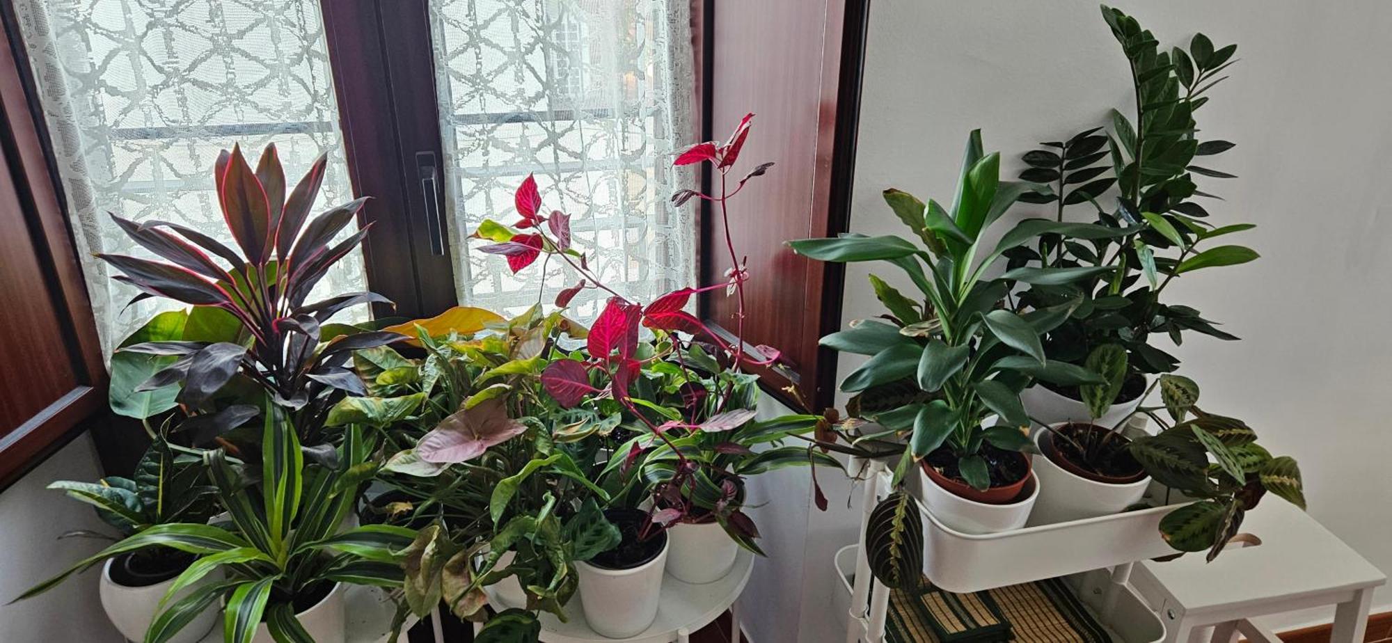 Apartamentos Los Descalzos Angel With Private Terrace Free Parking Ronda Luaran gambar