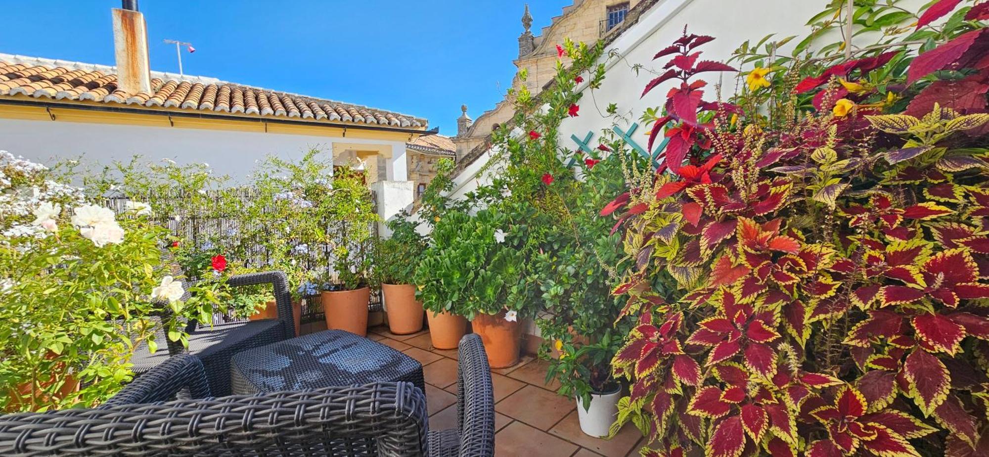 Apartamentos Los Descalzos Angel With Private Terrace Free Parking Ronda Luaran gambar